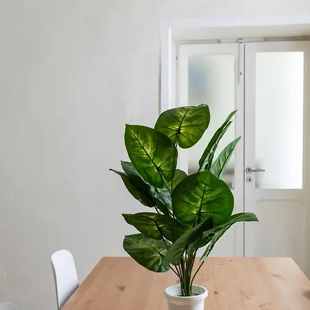 Cozy Historical Flat *