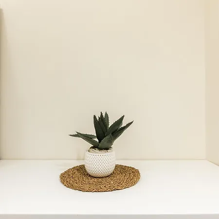 Апартаменты Cozy Historical Flat *