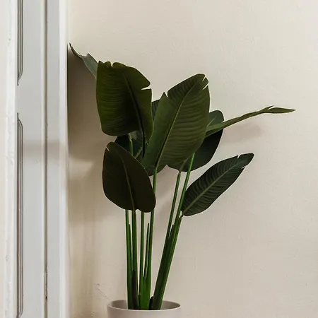 Cozy Historical Flat * Neapol